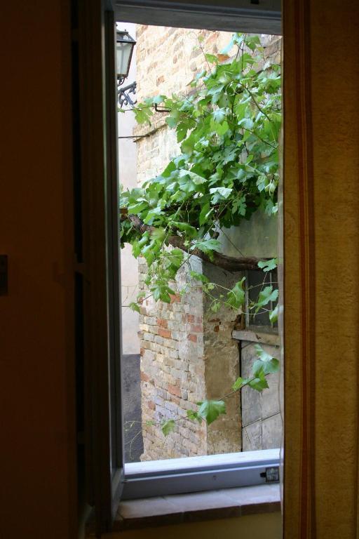 La Neviera Nel Pozzo Bed and Breakfast Offida Værelse billede